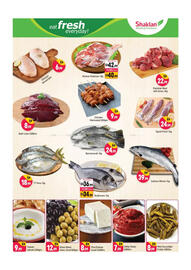 Shaklan catalogue Page 3