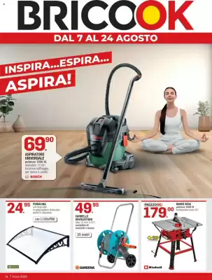 Volantino Brico OK (valido fino al 24-08)