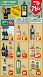 REWE Prospekt woche 33 Seite 17