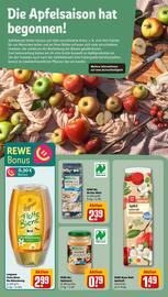 REWE Prospekt woche 33 Seite 22