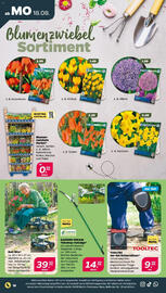 NETTO Prospekt woche 34 Seite 18