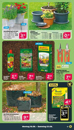 NETTO Prospekt woche 34 Seite 19