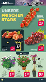 NETTO Prospekt woche 34 Seite 2