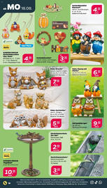 NETTO Prospekt woche 34 Seite 20