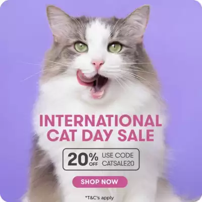 Budget Pet Products catalogue (valid until 24-08)