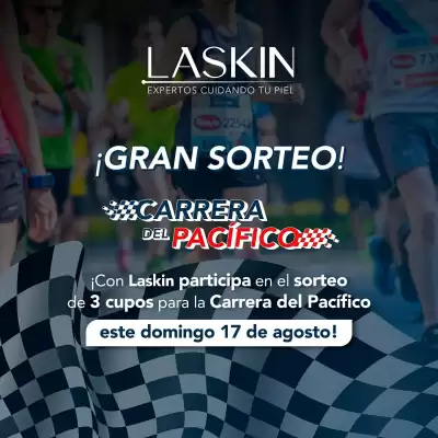 Catálogo Laskin (válido hasta 17-08)