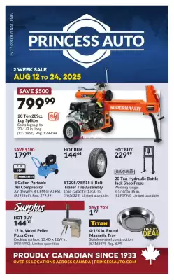 Princess Auto flyer