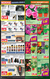 Catalogue Norma semaine 33 page 4