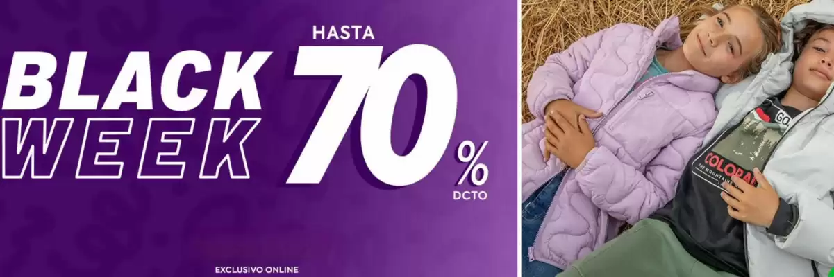 Catálogo Ficcus (válido hasta 23-08)