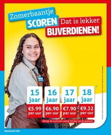Hoogvliet folder week 33 Pagina 14