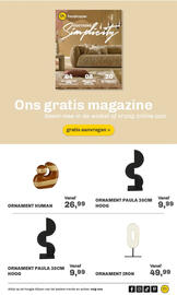 Trendhopper folder week 32 Pagina 8