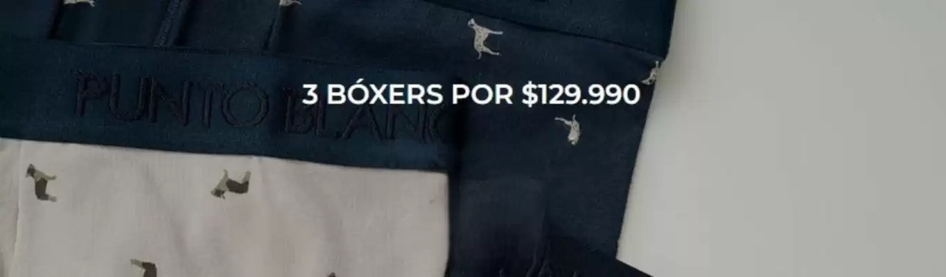 Catálogo Punto Blanco (válido hasta 31-08)