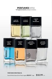 Catálogo AVON Página 101