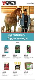 Tractor Supply Company Weekly Ad week 32 Page 1