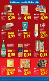 Lidl Flugblatt woche 33 Seite 10