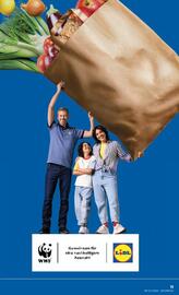 Lidl Flugblatt woche 33 Seite 14