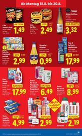 Lidl Flugblatt woche 33 Seite 40