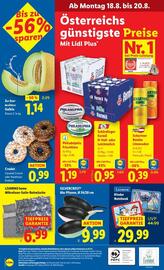 Lidl Flugblatt woche 33 Seite 41