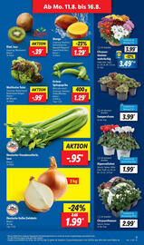 Lidl Prospekt woche 33 Seite 5