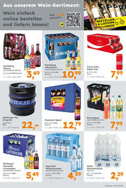 Globus Baumarkt Prospekt woche 32 Seite 17