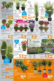 Globus Baumarkt Prospekt woche 32 Seite 3