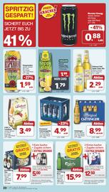 Famila Nord West Prospekt woche 33 Seite 23