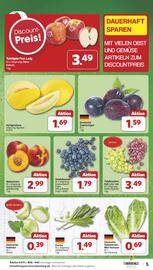 Famila Nord West Prospekt woche 33 Seite 5