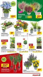 toom Baumarkt Prospekt woche 32 Seite 3