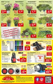 Zimmermann Prospekt woche 33 Seite 10