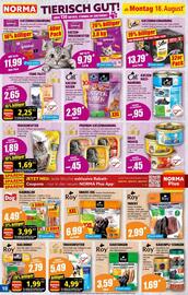 Norma Prospekt woche 34 Seite 10