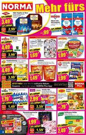 Norma Prospekt woche 34 Seite 8