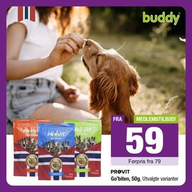 Buddy Kundeavis uke 32 Side 1