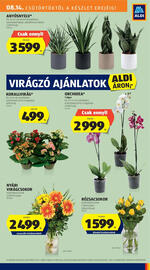 ALDI akciós újság hét 33 Oldal 27