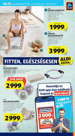 ALDI akciós újság hét 33 Oldal 45