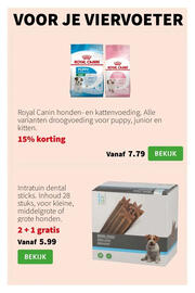 Intratuin folder week 33 Pagina 11