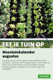 Intratuin folder week 33 Pagina 4