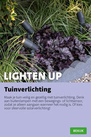 Intratuin folder week 33 Pagina 7