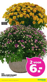 Ranzijn folder Pagina 8