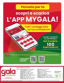 Volantino Gala Supermercati Pagina 24