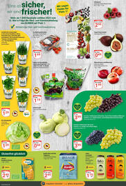 Globus Prospekt woche 33 Seite 6