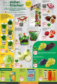 Globus Prospekt woche 33 Seite 5