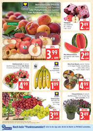 Marktkauf Prospekt woche 33 Seite 6