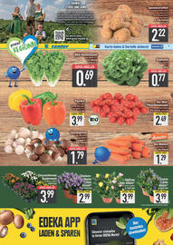 E-Center Prospekt woche 33 Seite 7