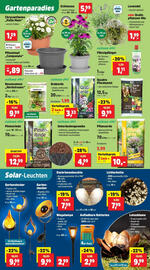 Thomas Philipps Prospekt woche 33 Seite 9