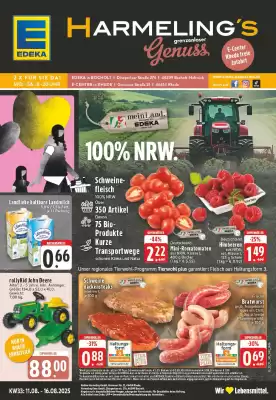 Edeka Prospekt (gültig bis 16-08)