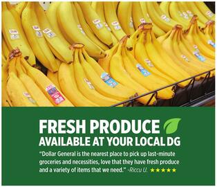 Dollar General Weekly Ad week 33 Page 4