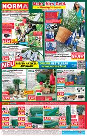 Norma Flugblatt woche 34 Seite 1