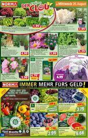 Norma Flugblatt woche 34 Seite 12