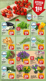 REWE Prospekt woche 33 Seite 7