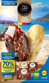 Lidl gazetka Strona 10